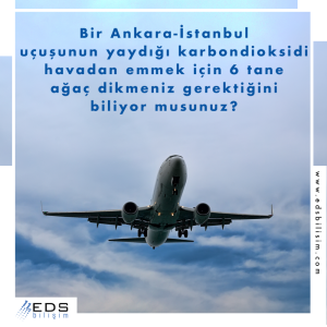 Bir Ankara-İstanbul uçuşunun ne kadar karbondioksit yaydığını biliyor musunuz?