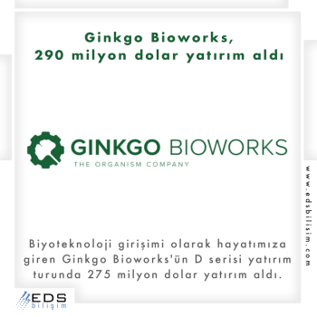 Grinkgo Bioworks, 290 milyon dolar yatırım aldı